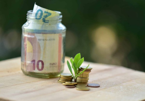 les meilleurs bons plans pour se procurer des produits bio à petit prix