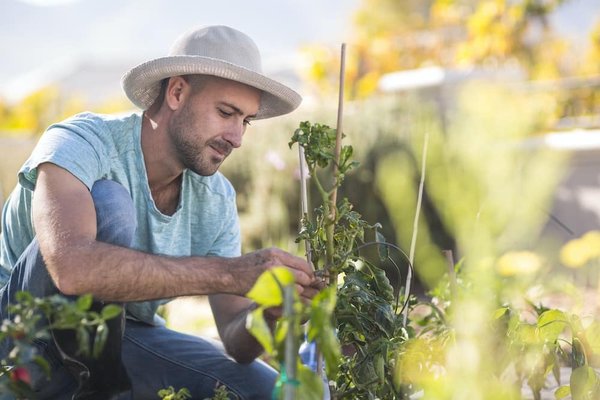 Les nouvelles tendances en matière de cuisine végan