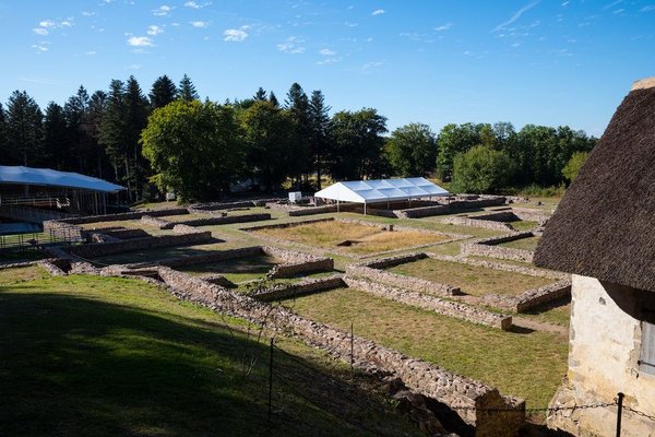 Quelles sont les idées pour des desserts légers à base de tofu soyeux ?